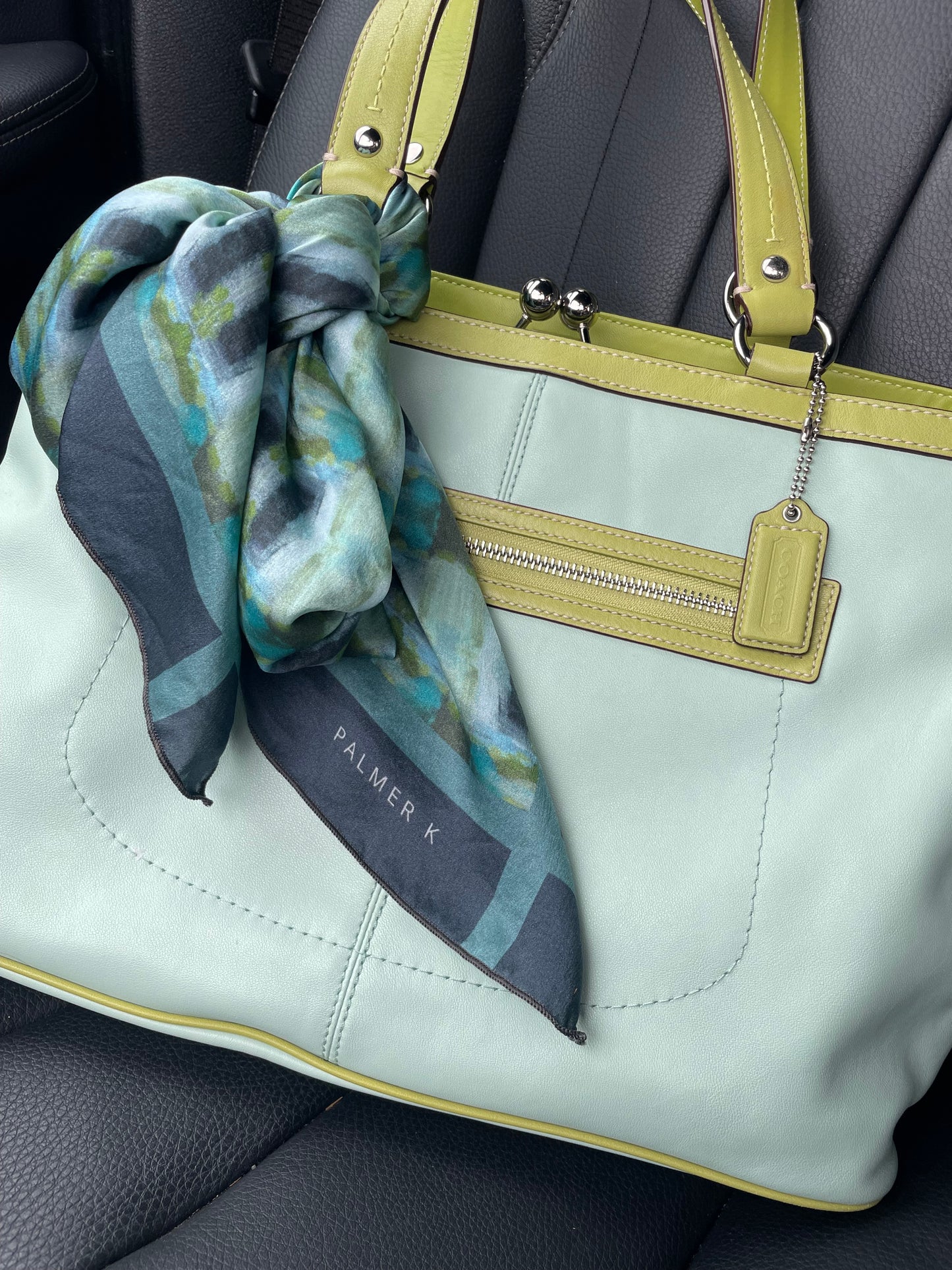Luxury Silk Scarf - Dragonfly Wings (ABJ/P9)