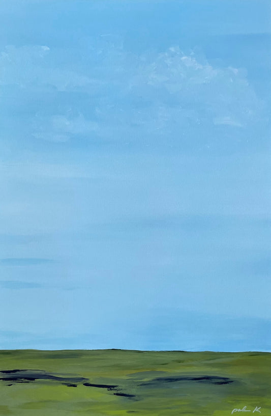 "Wide Open Spaces"