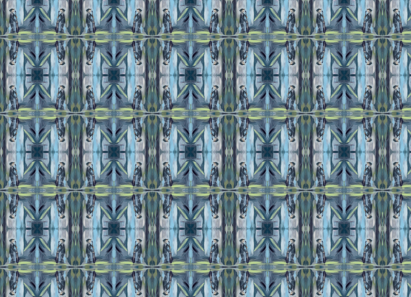 Fabric - CAP/P4