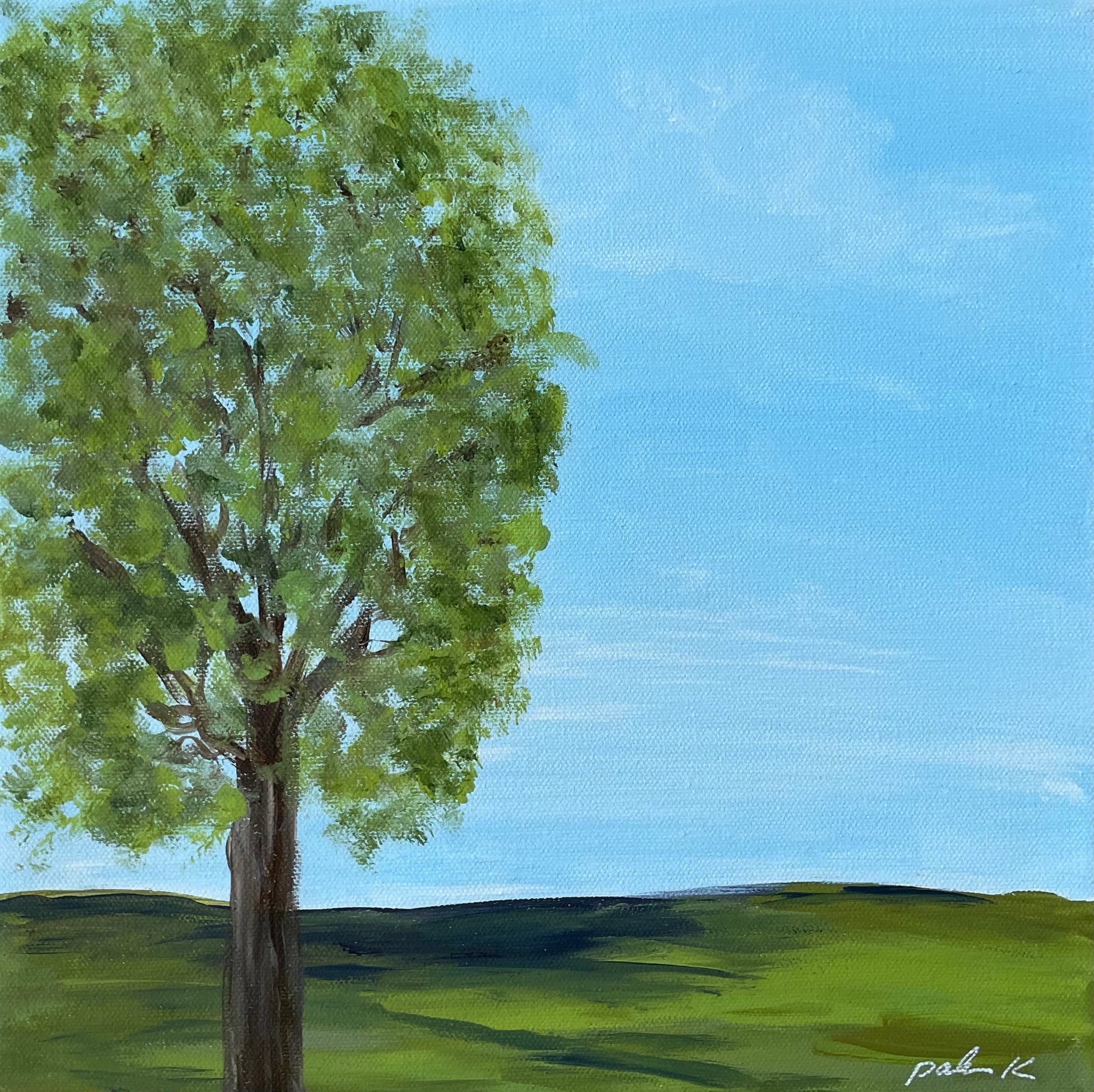 painting of single green leafed tree in field with horizon and blue sky 12 x 12 acrylic on gallery wrap canvas in black wood float frame Signed on front, titled on back D rings and wire on back ready to hang &nbsp; All palmer K designs artwork © Karen Palmer. &nbsp;All rights reserved.